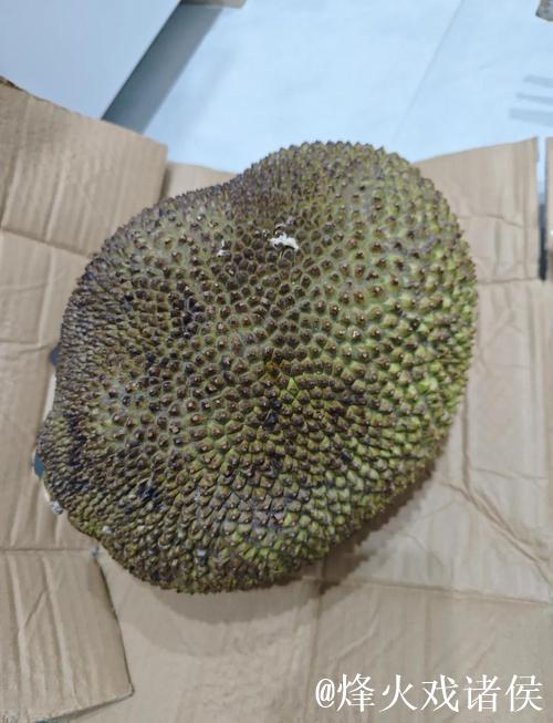 国内精品自在自线菠萝蜜视频 国内精品自在自线菠萝蜜视频