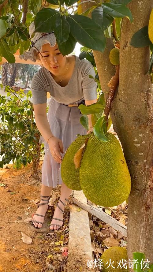 美女销魂菠萝蜜视频